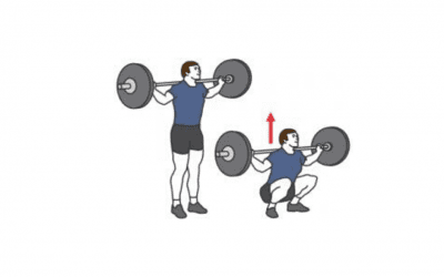 Alternatives à l'exercice du Squat