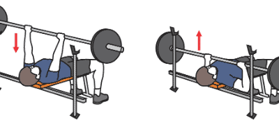 Alternatives à l'exercice du développé couché (Bench Press)