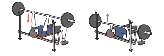 Alternatives à l'exercice du développé couché (Bench Press)