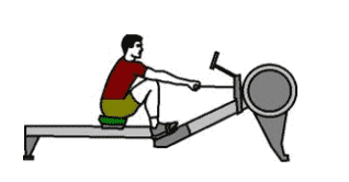 Alternatives au rameur exercice