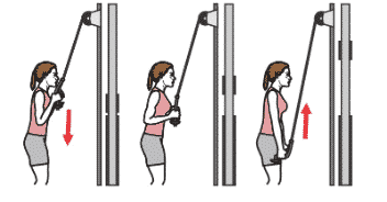 Alternatives à l’extension des coudes sur poulie